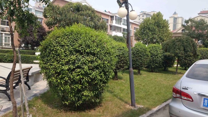 世纪花园小区(小店)