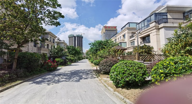 绿地21新城(别墅)