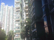 新洲小区图片