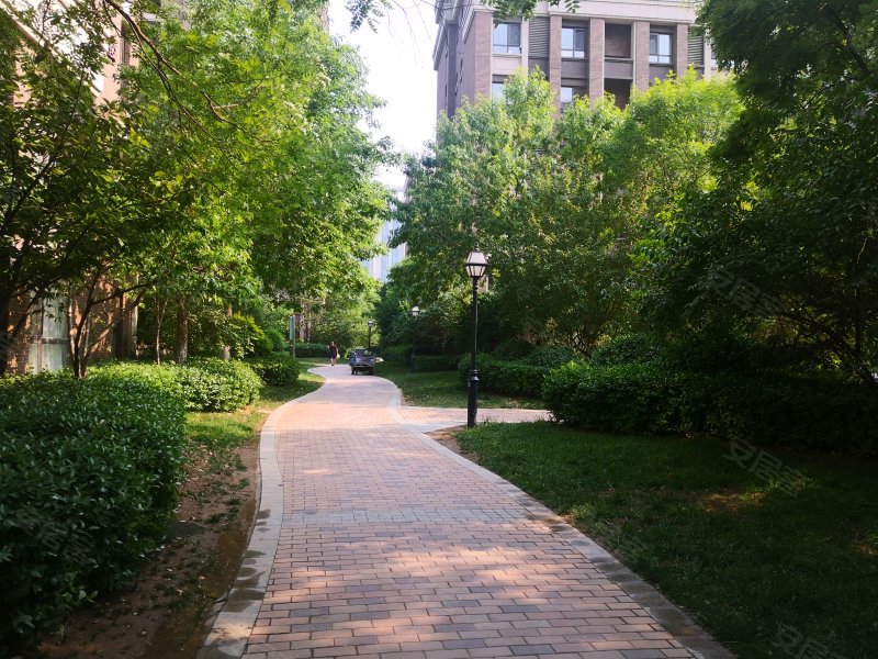 金地朗悦悦园,阜盛东街54号-秦皇岛金地朗悦悦园二手房,租房,房价