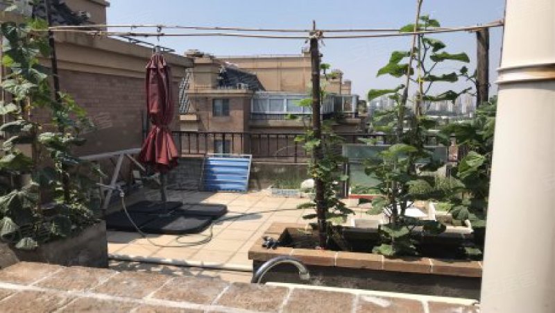 长江路848弄小区 