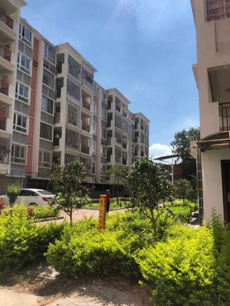 金峰花园南区,金峰南路-漳州金峰花园南区二手房,租房,房价-漳州安居