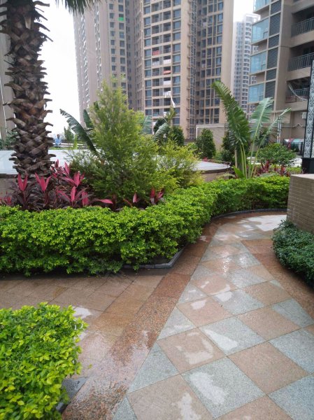 香缤广场,文海西路12号-佛山香缤广场二手房,租房,房价-佛山安居客