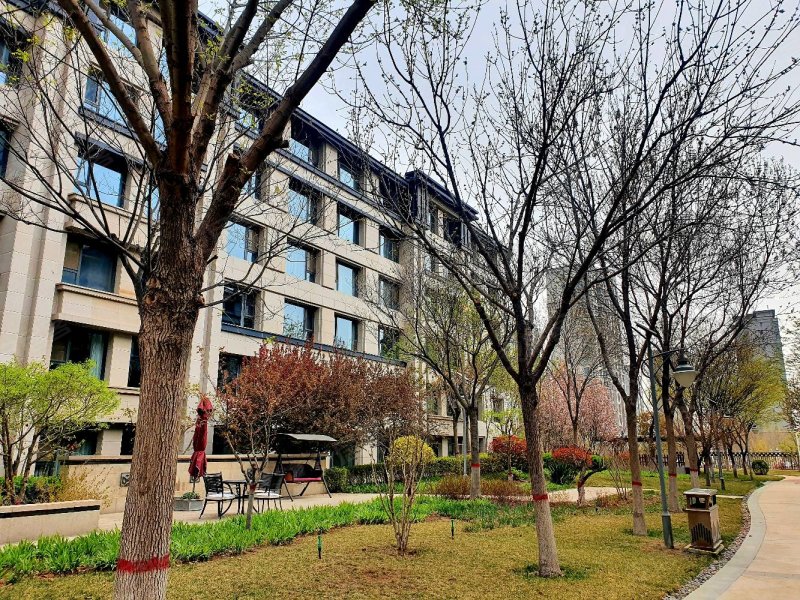 邯郸房产网>邯郸二手房>丛台二手房>丛台二手房>阳光东尚香樟园>