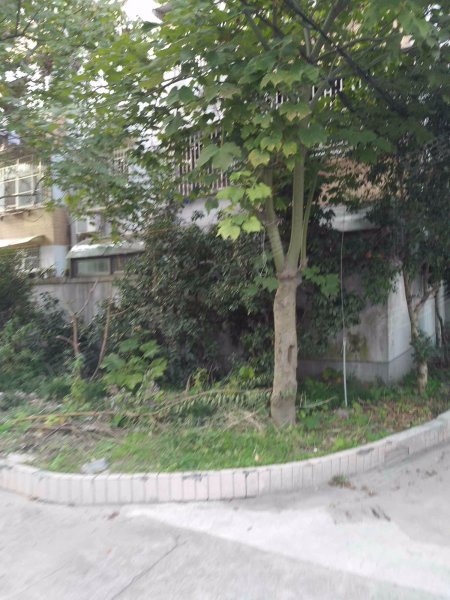 云台路255弄小区 