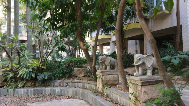 东海湾,风林路188号-佛山东海湾二手房,租房,房价-佛山安居客