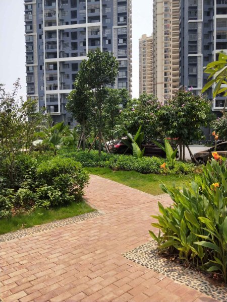 滨江阳光水岸,八尺江路388号-南宁滨江阳光水岸二手房,租房,房价-南宁