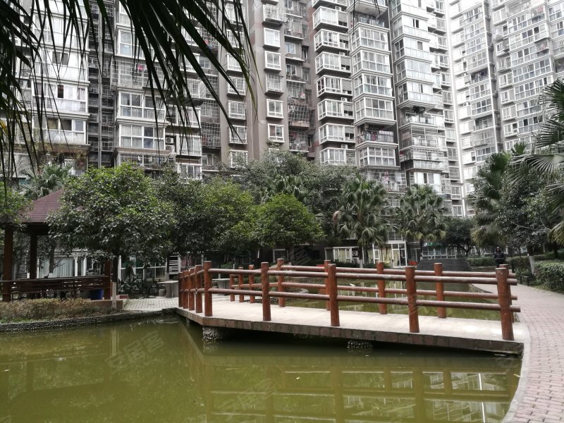 合力达映日荷花,蓉北商贸大道二段168号