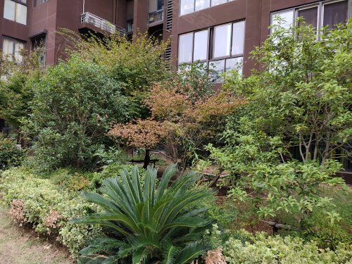 龙泽苑,东新南路559号 - 南京龙泽苑二手房,租房,房价-南京安居客