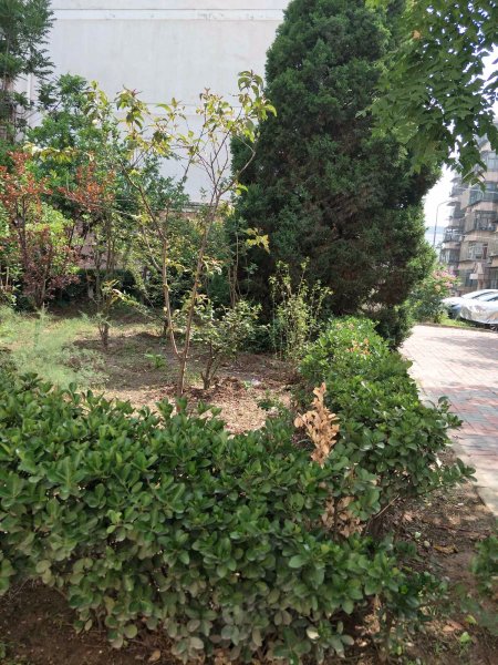 美景花园,新开路-天津美景花园二手房,租房,房价-天津安居客