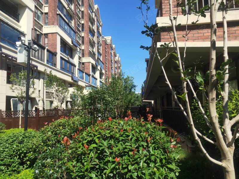 任城龙城公馆(别墅),蓼河路,近群英路-济宁任城龙城公馆(别墅)二手房