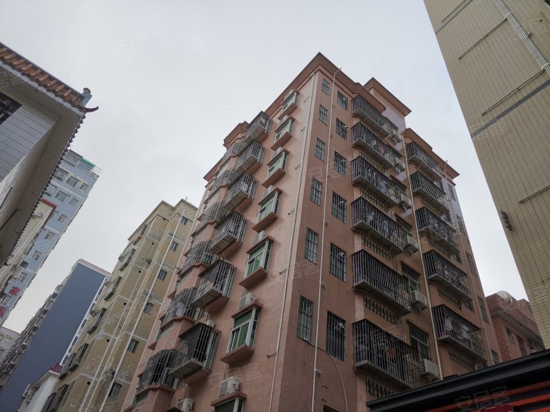 荔园新村(坂田)