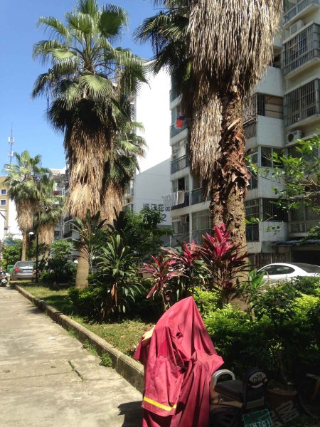 丽江花园,五一中路26号-南宁丽江花园二手房,租房,房价-南宁安居客