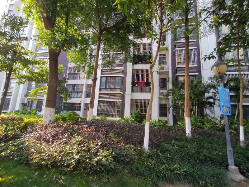 八桂绿城云顶印象