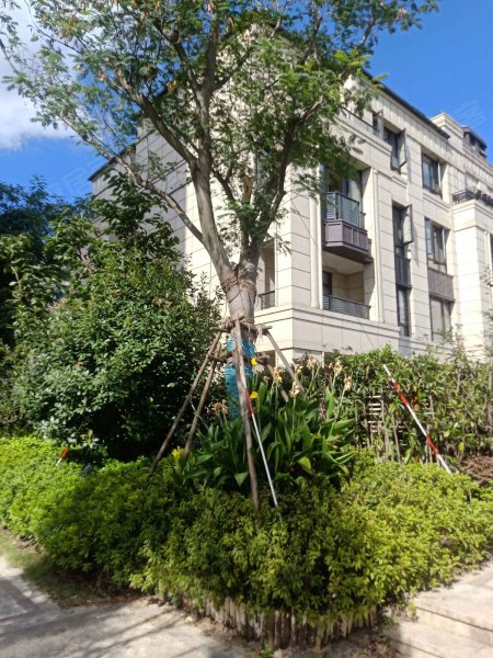 森兰名轩(二期)