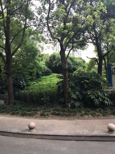 半岛花园,西康路1518弄-上海半岛花园二手房,租房,房价-上海安居客