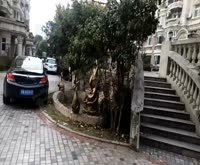 爱法新都(一期)