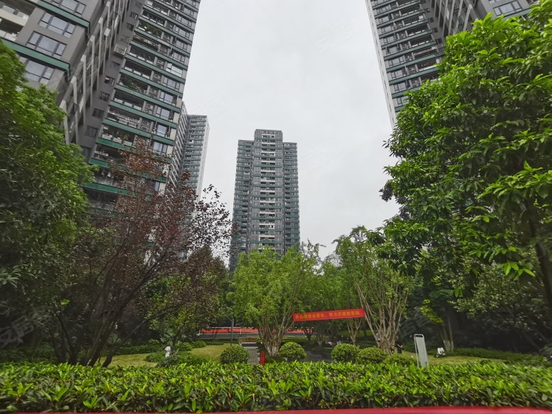 翡翠明珠,光电路18号-重庆翡翠明珠二手房,租房,房价-重庆安居客