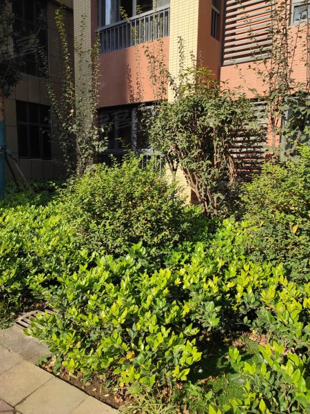 丹亭懿府,百步亭路,近百花一路-武汉丹亭懿府二手房,租房,房价-武汉