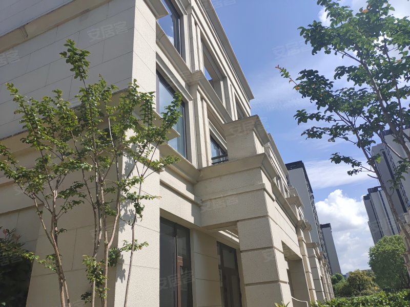 卓越维港(别墅)