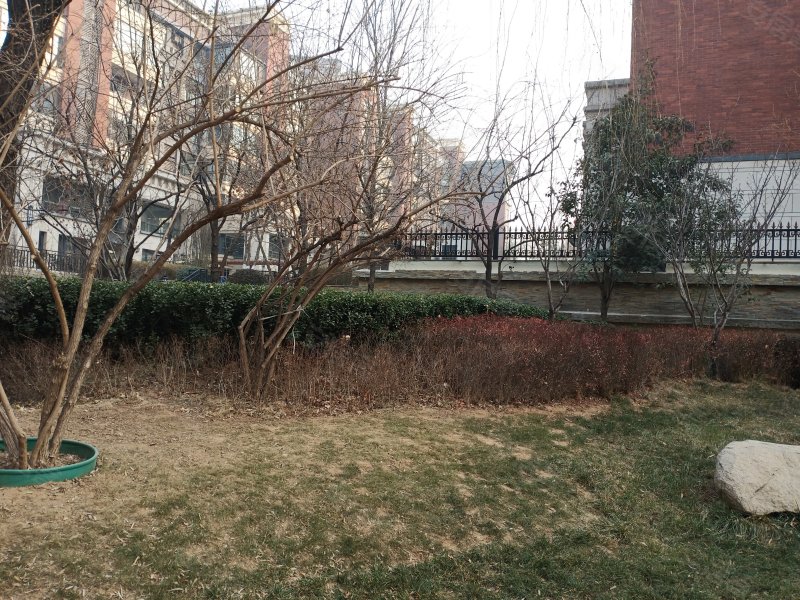 七十九号院,八一路-邢台七十九号院二手房,租房,房价-邢台安居客