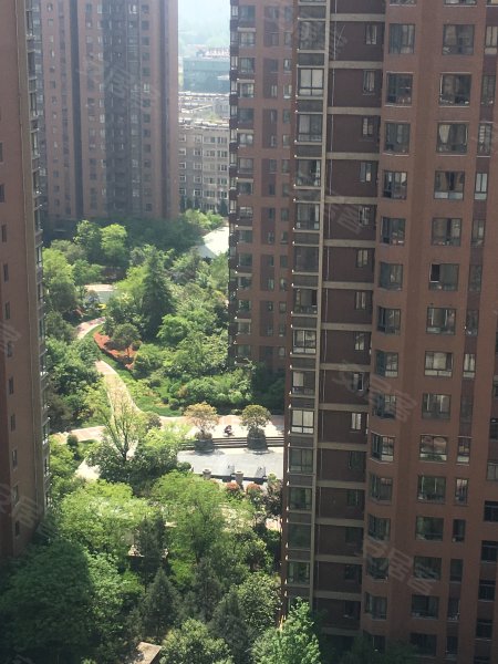 天地源枫林意树