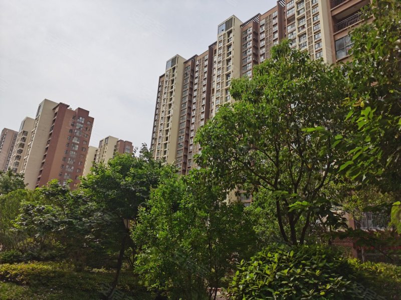 观澜郡,祥云路,近鸿鹄路-郑州观澜郡二手房,租房,房价-郑州安居客