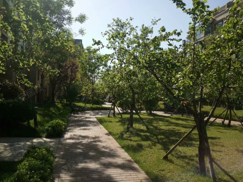 恒信伯爵庄园,宏伟南路,近玉泉街-潍坊恒信伯爵庄园二手房,租房,房价