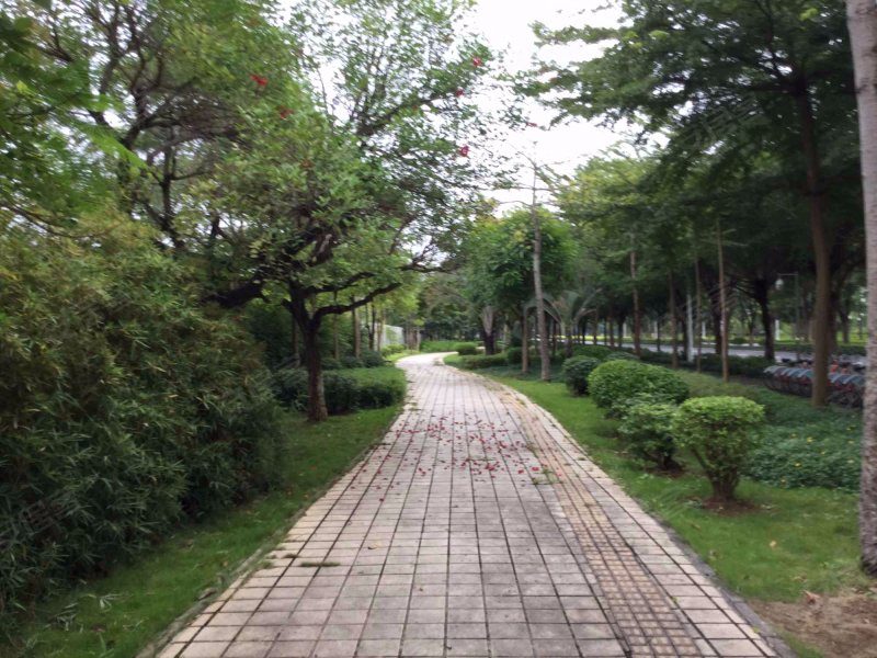 柳沙三兴花园,柳沙路16号-南宁柳沙三兴花园二手房,租房,房价-南宁