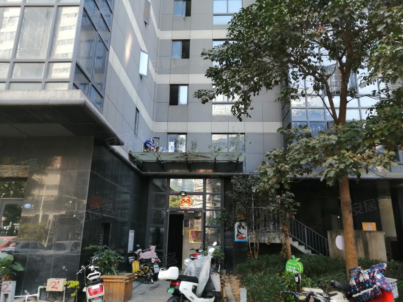 世欧王庄十一区