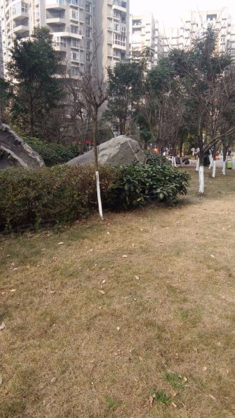 文星花园,川大路三段266号-成都文星花园二手房,租房,房价-成都安居客