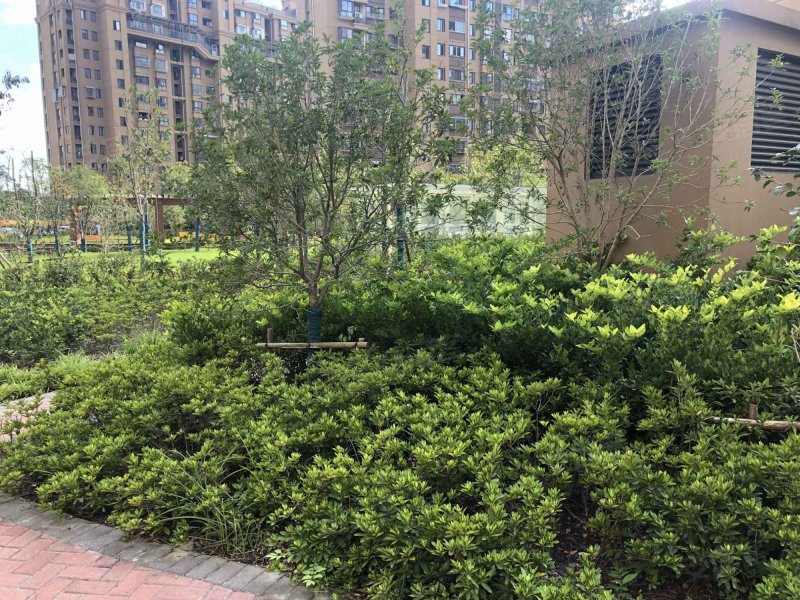 馨泰佳苑,季乐路476弄-上海馨泰佳苑二手房,租房,房价-上海安居客