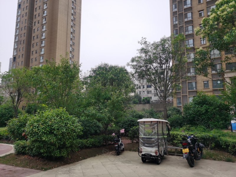 常绿林溪谷(湛河),姚电大道-平顶山常绿林溪谷(湛河)二手房,租房,房价