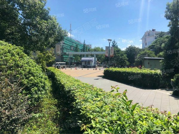 宁波房产网>宁波二手房>江北二手房>洪塘二手房>姚江花园(江北)>599