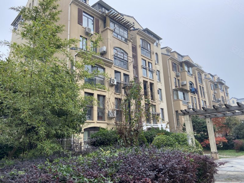 棕榈湾尼盛山庄,向阳路6号-苏州棕榈湾尼盛山庄二手房,租房,房价-苏州