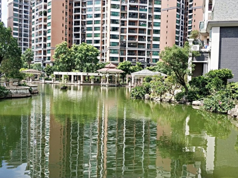 新会骏景湾豪庭,潮兴路-江门新会骏景湾豪庭二手房,租房,房价-江门