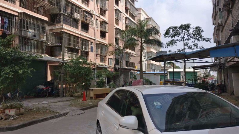 新金花园,黄金路9号-珠海新金花园二手房,租房,房价-珠海安居客