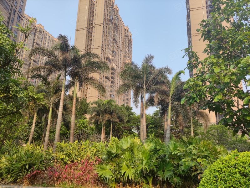 恒大御景,广云路313号-佛山恒大御景二手房,租房,房价-佛山安居客