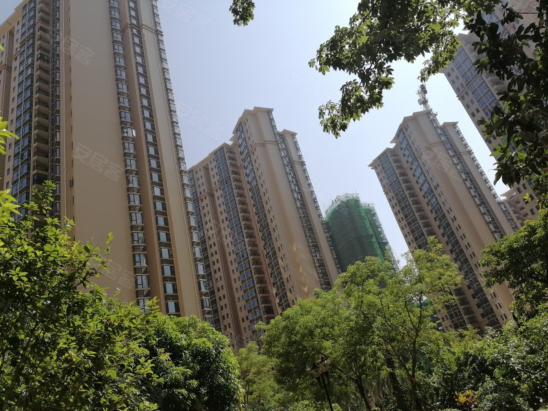 荣顾钻石园,江山大道,近金花茶大道-防城港荣顾钻石园二手房,租房