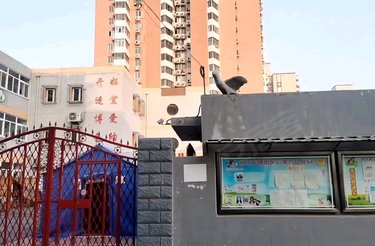 黎明新座 石佛营西里3号 北京黎明新座二手房 租房 房价 北京安居客