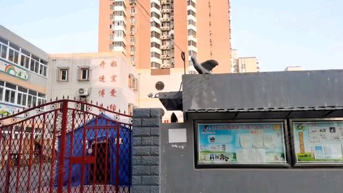 黎明新座 石佛营西里3号 北京黎明新座二手房 租房 房价 北京安居客 黎明新座 石佛营西里3号 北京黎明新座二手房 租房 房价 北京安居客