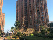 龙田小区图片