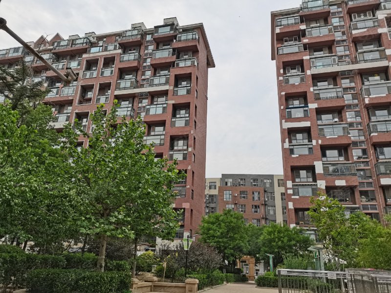 金隅花石匠(东区)