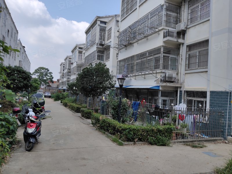 怡园小区(巢湖),黄金大道-合肥怡园小区(巢湖)二手房,租房,房价-合肥