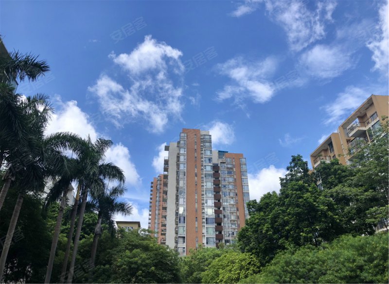 金地格林小城,东莞大道-东莞金地格林小城二手房,租房,房价-东莞安居