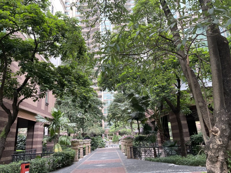 汇景新城棕榈园