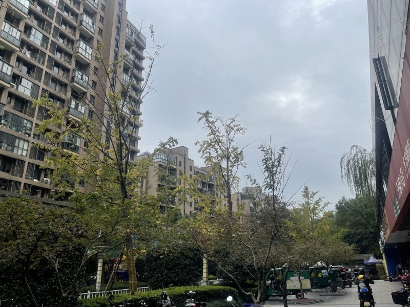 欣盛东方郡(西区)