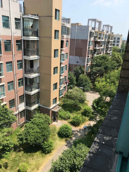 金色阳光(当阳)