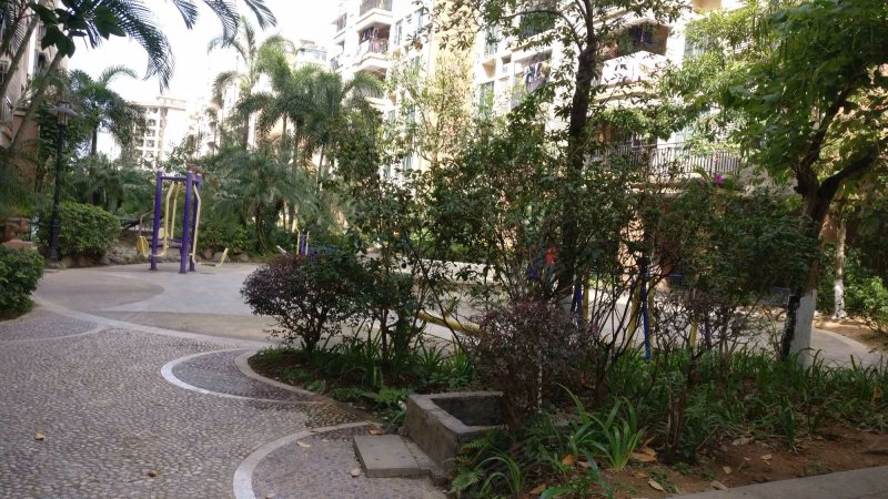 星洲花园,乐怡路1号-中山星洲花园二手房,租房,房价-中山安居客