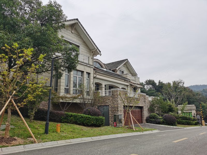 湖山一品,荪湖路388弄1号